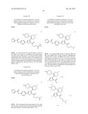 INHIBITORS OF HEPATITIS C VIRUS POLYMERASE diagram and image