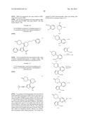 INHIBITORS OF HEPATITIS C VIRUS POLYMERASE diagram and image