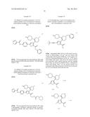 INHIBITORS OF HEPATITIS C VIRUS POLYMERASE diagram and image