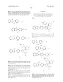 INHIBITORS OF HEPATITIS C VIRUS POLYMERASE diagram and image