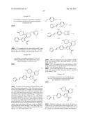 INHIBITORS OF HEPATITIS C VIRUS POLYMERASE diagram and image