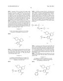 INHIBITORS OF HEPATITIS C VIRUS POLYMERASE diagram and image