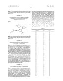 INHIBITORS OF HEPATITIS C VIRUS POLYMERASE diagram and image