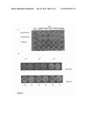 PROCESS FOR BIOLOGICALLY COMBATING PSEUDOMONAS diagram and image