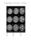 PAENIBACILLUS ALVEI STRAIN TS-15 AND ITS USE IN CONTROLLING PATHOGENIC     ORGANISMS ON CROPS diagram and image