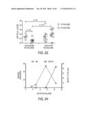 EFFECTIVE TARGETING OF PRIMARY HUMAN LEUKEMIA USING ANTI-CD123 CHIMERIC     ANTIGEN RECEPTOR ENGINEERED T CELLS diagram and image