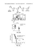 EFFECTIVE TARGETING OF PRIMARY HUMAN LEUKEMIA USING ANTI-CD123 CHIMERIC     ANTIGEN RECEPTOR ENGINEERED T CELLS diagram and image