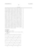 EFFECTIVE TARGETING OF PRIMARY HUMAN LEUKEMIA USING ANTI-CD123 CHIMERIC     ANTIGEN RECEPTOR ENGINEERED T CELLS diagram and image