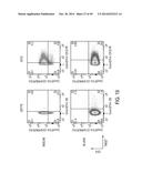 EFFECTIVE TARGETING OF PRIMARY HUMAN LEUKEMIA USING ANTI-CD123 CHIMERIC     ANTIGEN RECEPTOR ENGINEERED T CELLS diagram and image