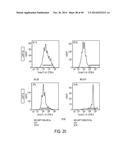 EFFECTIVE TARGETING OF PRIMARY HUMAN LEUKEMIA USING ANTI-CD123 CHIMERIC     ANTIGEN RECEPTOR ENGINEERED T CELLS diagram and image