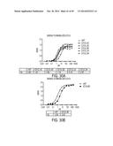 EFFECTIVE TARGETING OF PRIMARY HUMAN LEUKEMIA USING ANTI-CD123 CHIMERIC     ANTIGEN RECEPTOR ENGINEERED T CELLS diagram and image