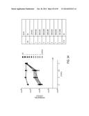 EFFECTIVE TARGETING OF PRIMARY HUMAN LEUKEMIA USING ANTI-CD123 CHIMERIC     ANTIGEN RECEPTOR ENGINEERED T CELLS diagram and image