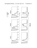 THERAPEUTIC APPLICATIONS OF ACTIVATION OF HUMAN ANTIGEN-PRESENTING CELLS     THROUGH DECTIN-1 diagram and image