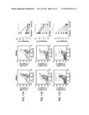 THERAPEUTIC APPLICATIONS OF ACTIVATION OF HUMAN ANTIGEN-PRESENTING CELLS     THROUGH DECTIN-1 diagram and image