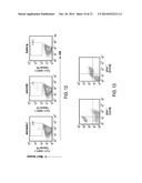 THERAPEUTIC APPLICATIONS OF ACTIVATION OF HUMAN ANTIGEN-PRESENTING CELLS     THROUGH DECTIN-1 diagram and image