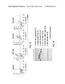 THERAPEUTIC APPLICATIONS OF ACTIVATION OF HUMAN ANTIGEN-PRESENTING CELLS     THROUGH DECTIN-1 diagram and image