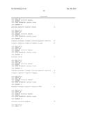 THERAPEUTIC APPLICATIONS OF ACTIVATION OF HUMAN ANTIGEN-PRESENTING CELLS     THROUGH DECTIN-1 diagram and image