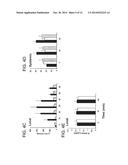 ANTI-FACTOR XI MONOCLONAL ANTIBODIES AND METHODS OF USE THEREOF diagram and image