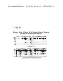 ANTI-FACTOR XI MONOCLONAL ANTIBODIES AND METHODS OF USE THEREOF diagram and image