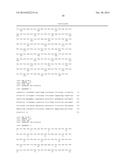 ANTI-FACTOR XI MONOCLONAL ANTIBODIES AND METHODS OF USE THEREOF diagram and image