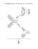 MULTIVALENT ANTIBODIES AND USES THEREFOR diagram and image