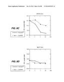 MULTIVALENT ANTIBODIES AND USES THEREFOR diagram and image