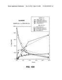 MULTIVALENT ANTIBODIES AND USES THEREFOR diagram and image