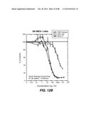 MULTIVALENT ANTIBODIES AND USES THEREFOR diagram and image