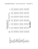 MULTIVALENT ANTIBODIES AND USES THEREFOR diagram and image