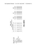 MULTIVALENT ANTIBODIES AND USES THEREFOR diagram and image