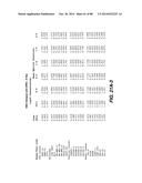 MULTIVALENT ANTIBODIES AND USES THEREFOR diagram and image