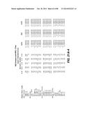 MULTIVALENT ANTIBODIES AND USES THEREFOR diagram and image