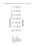 MULTIVALENT ANTIBODIES AND USES THEREFOR diagram and image