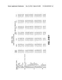 MULTIVALENT ANTIBODIES AND USES THEREFOR diagram and image