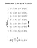 MULTIVALENT ANTIBODIES AND USES THEREFOR diagram and image