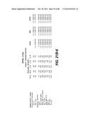 MULTIVALENT ANTIBODIES AND USES THEREFOR diagram and image