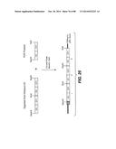 MULTIVALENT ANTIBODIES AND USES THEREFOR diagram and image