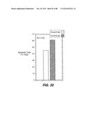 MULTIVALENT ANTIBODIES AND USES THEREFOR diagram and image