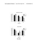 OSTEOPROTEGERIN IN NEUROPROTECTION diagram and image