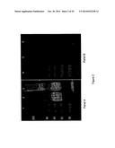 IL-17RA-IL-17RB Antagonists and Uses Thereof diagram and image