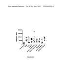 IL-17RA-IL-17RB Antagonists and Uses Thereof diagram and image