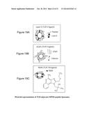 METHOD OF INDUCING NEUTRALIZING ANTIBODIES TO HUMAN IMMUNODEFICIENCY VIRUS diagram and image