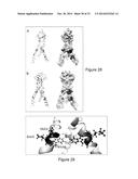 METHOD OF INDUCING NEUTRALIZING ANTIBODIES TO HUMAN IMMUNODEFICIENCY VIRUS diagram and image