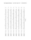 HIGH YIELD YELLOW FEVER VIRUS STRAIN WITH INCREASED PROPAGATION IN CELLS diagram and image