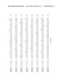 HIGH YIELD YELLOW FEVER VIRUS STRAIN WITH INCREASED PROPAGATION IN CELLS diagram and image