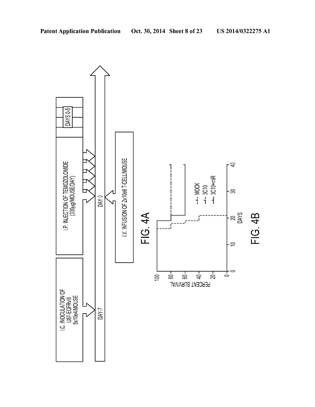 TREATMENT OF CANCER USING HUMANIZED ANTI-EGFRvIII CHIMERIC ANTIGEN     RECEPTOR - diagram, schematic, and image 09