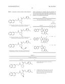 Modulation of Tissue Transglutaminase Activation in Disease diagram and image