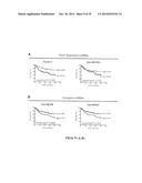 TISSUE & BLOOD-BASED MIRNA BIOMARKERS FOR THE DIAGNOSIS, PROGNOSIS AND     METASTASIS-PREDICTIVE POTENTIAL IN COLORECTAL CANCER diagram and image