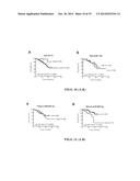 TISSUE & BLOOD-BASED MIRNA BIOMARKERS FOR THE DIAGNOSIS, PROGNOSIS AND     METASTASIS-PREDICTIVE POTENTIAL IN COLORECTAL CANCER diagram and image