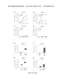 TISSUE & BLOOD-BASED MIRNA BIOMARKERS FOR THE DIAGNOSIS, PROGNOSIS AND     METASTASIS-PREDICTIVE POTENTIAL IN COLORECTAL CANCER diagram and image